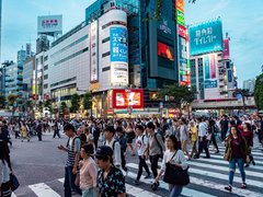 Best Things to Do in Tokyo