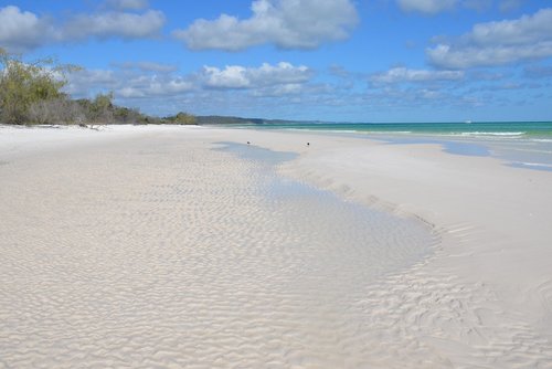 Important Things to Know Before Visiting Fraser Island
