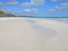 Top Reasons to Visit Fraser Island