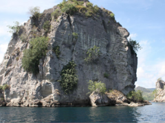 Eco Tours in Papua New Guinea- 