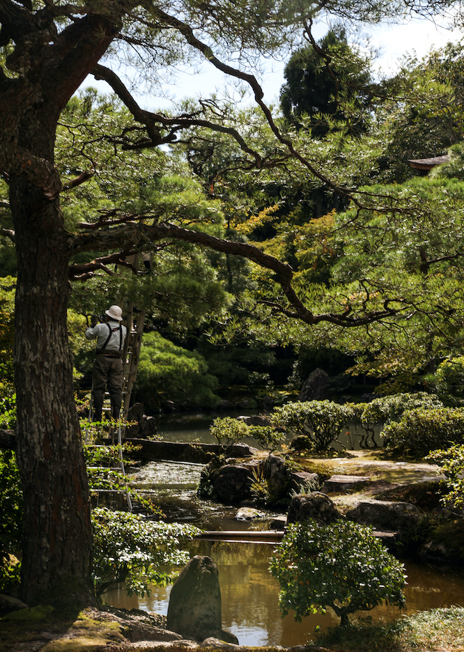 The Gardens by the Ginkaku-ji (The Silver Pavilion)
