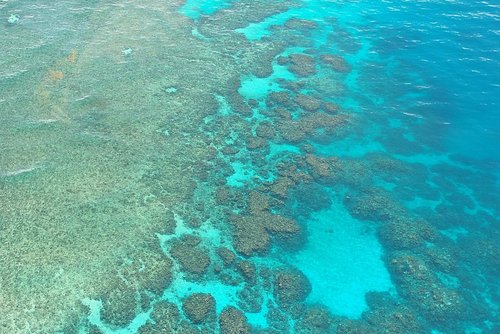 10 Reasons to Go Scuba Diving at the Great Barrier Reef