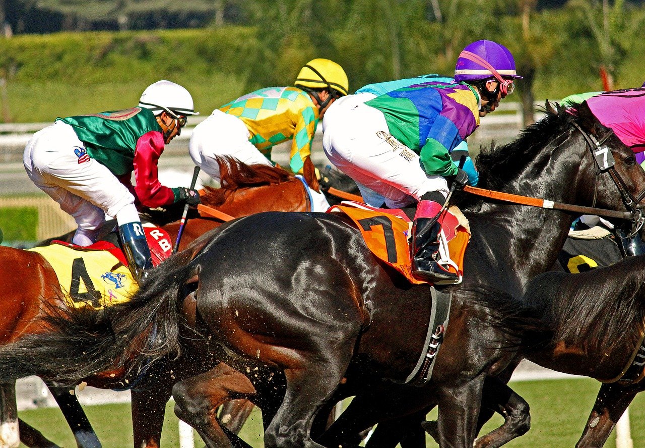 The Best Racecourses to Visit in the World