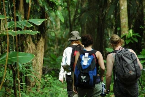 Wildlife Volunteer Expedition in Costa Rica