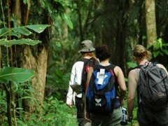 Wildlife Rainforest Volunteer Expedition in Costa Rica