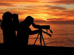 Top 5 Best Spotting Scopes for Birdwatching in 2022