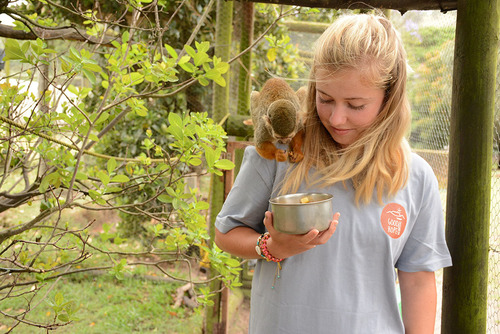 Volunteer at an animal sanctuary, Garden Route, South Africa