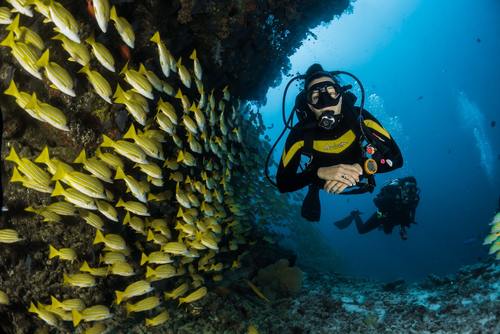 Australia’s Best Dive Sites