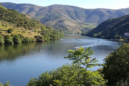 Douro River Cruise Tours with Indus Travels