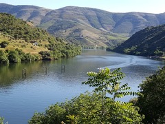 Douro River Cruise Tours with Indus Travels