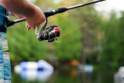 The Ultimate Family Fishing Trip: Tips and Tricks for a Reel Adventure