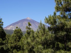 Tips for Visiting Mount Teide in Tenerife - Summit You Must Do