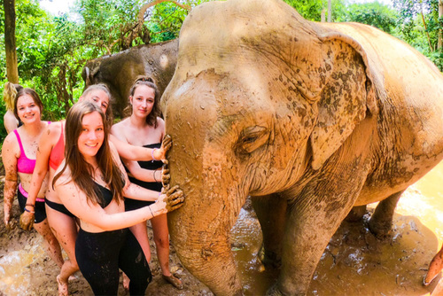 Elephant Volunteering: Thailand