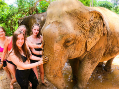 Elephant Volunteering: Thailand