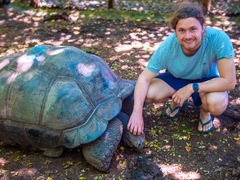 Turtle Conservation: Zanzibar