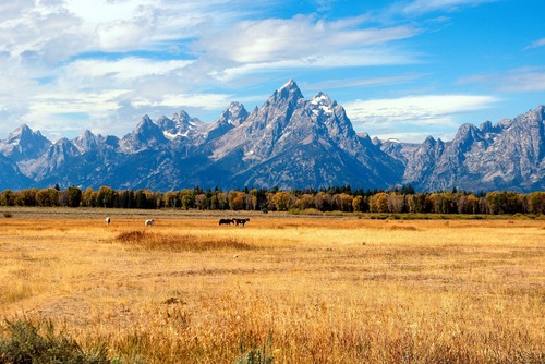 Best Things to Do in Jackson Hole Wyoming with Kids