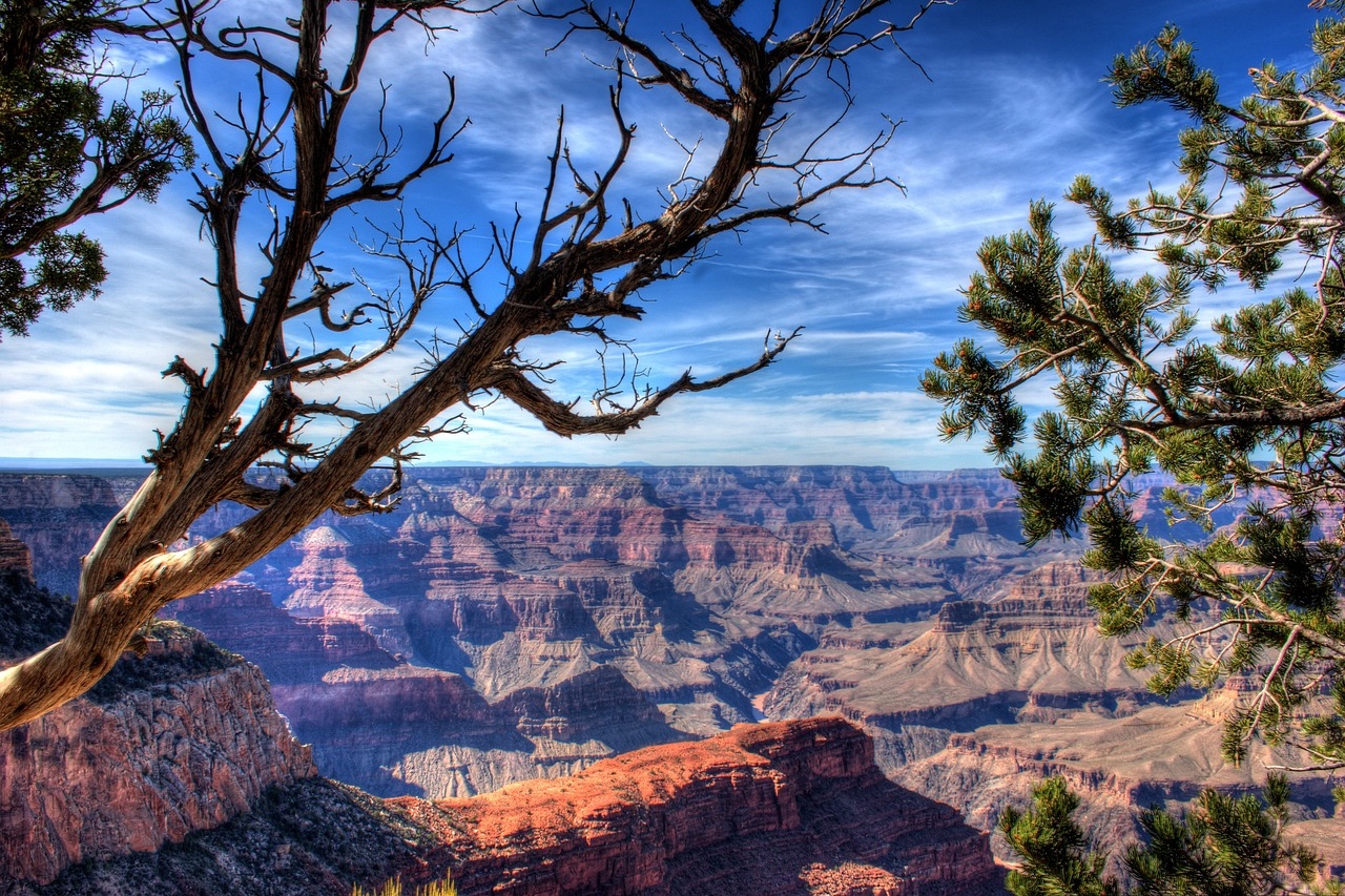 Grand Canyon, Arizona, USA 