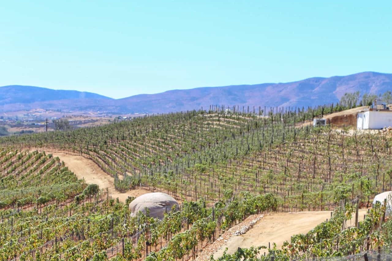 Valle de Guadalupe, Mexico