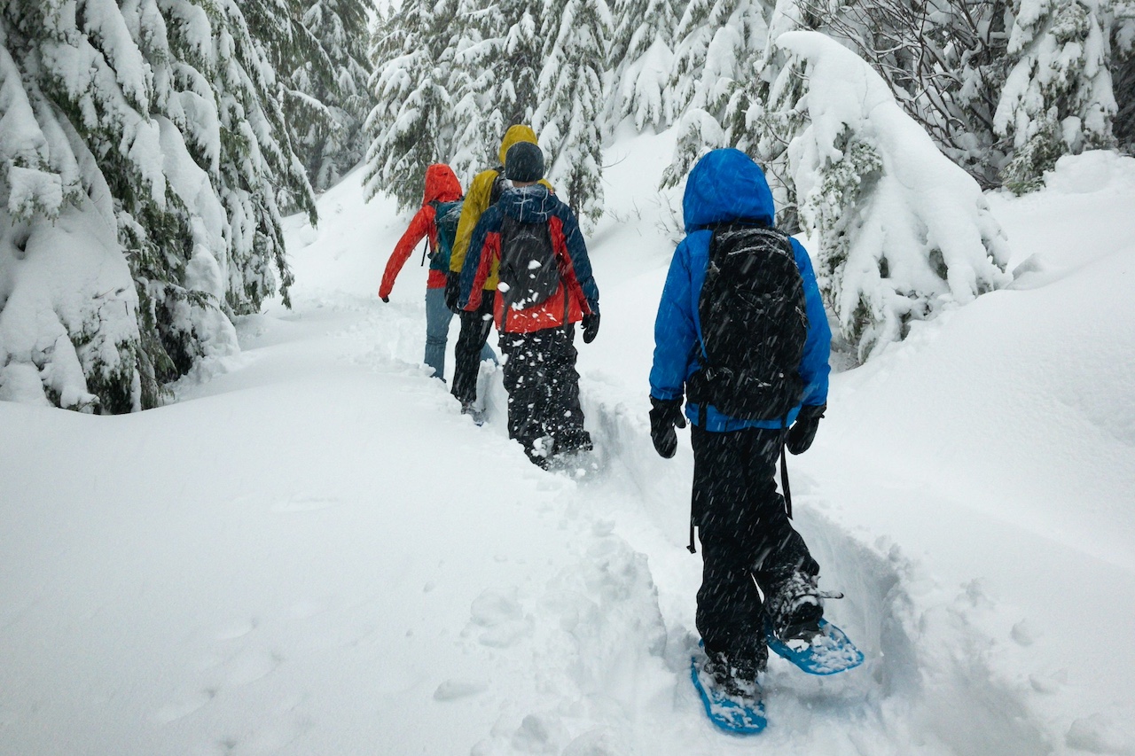 Snowshoeing group
