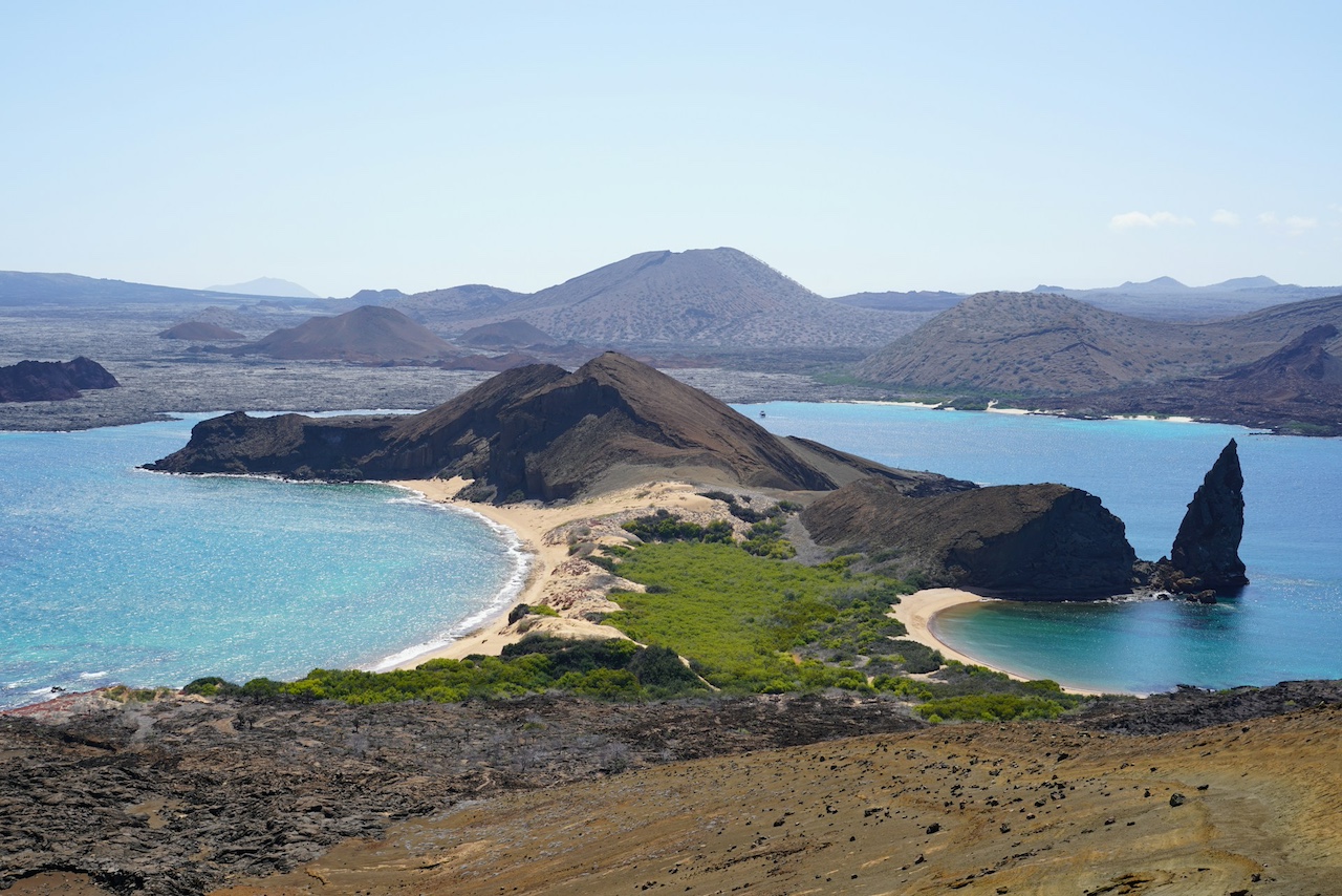 6 Best Galapagos Travel Agencies for Cruises & Land Tours