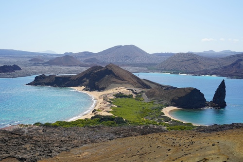6 Best Galapagos Travel Agencies for Cruises & Land Tours