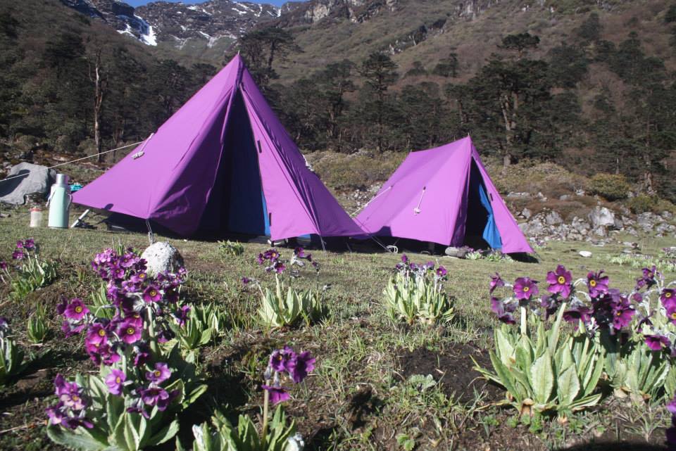 Himalayas Camping