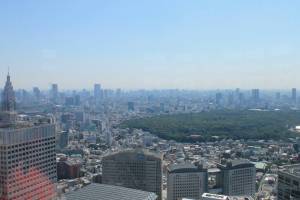 Tokyo View