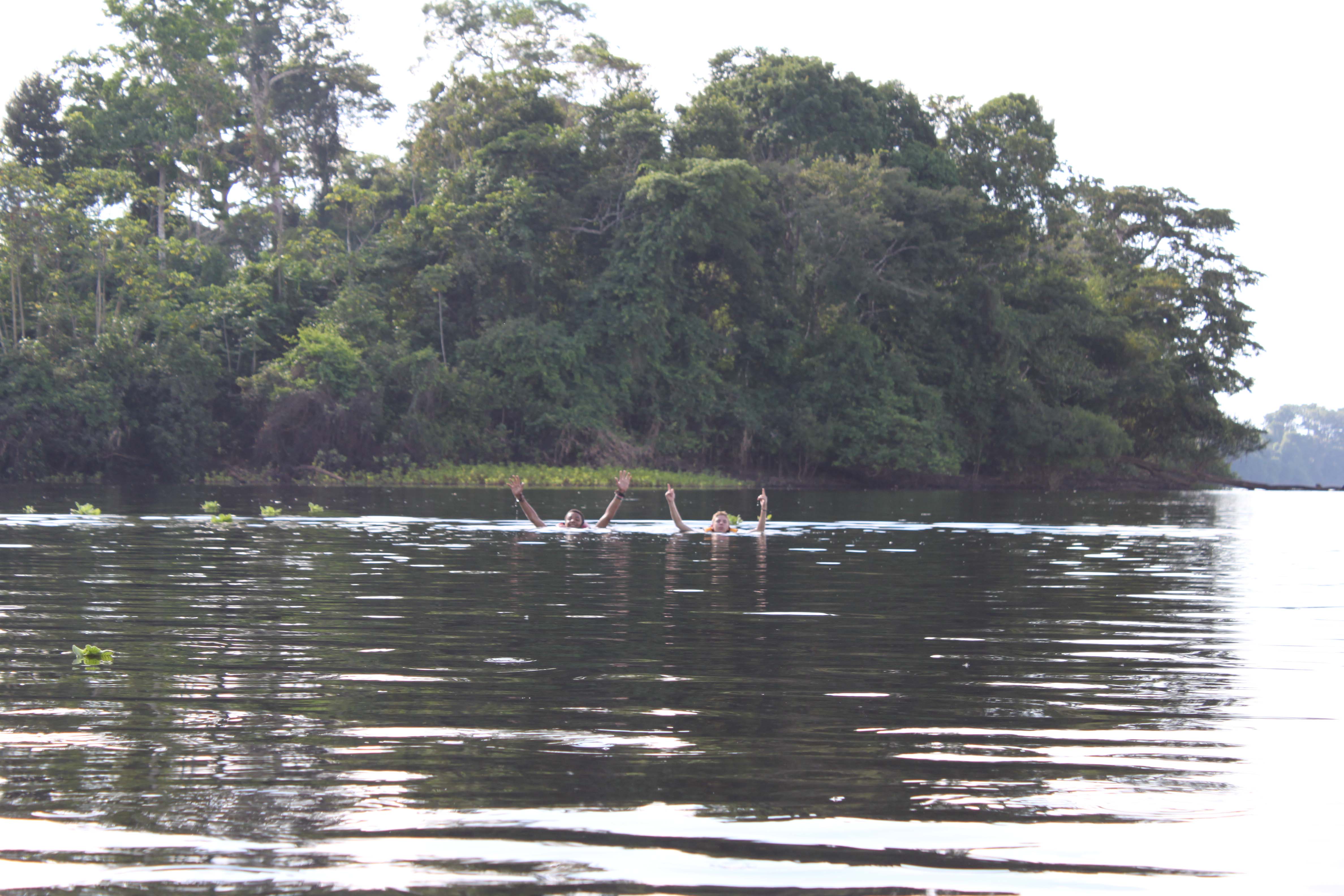 Swimming Amazon River
