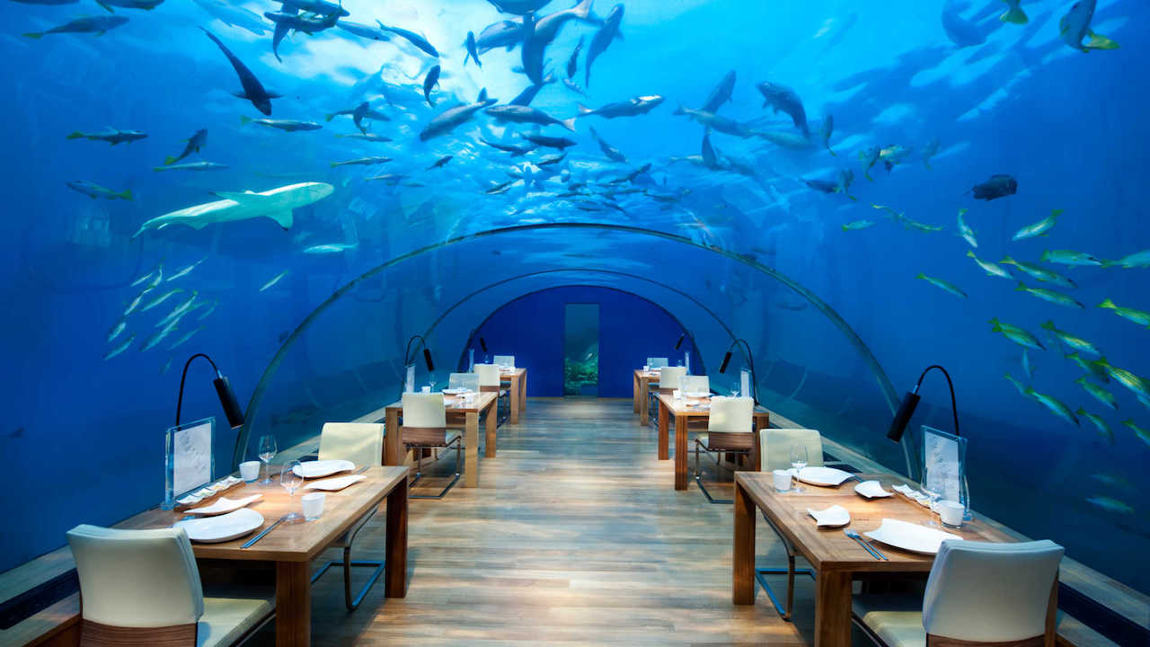 Conrad Maldives Rangali Island Underwater Restaurant