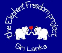 Elephant Freedom Project
