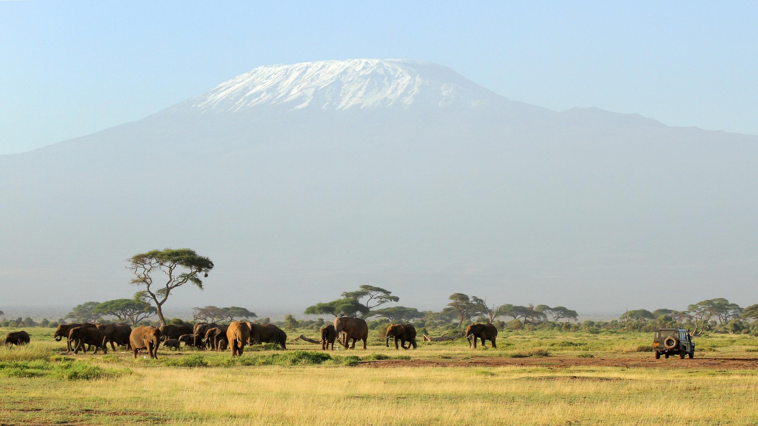 Mt Kilimanjiro Treks