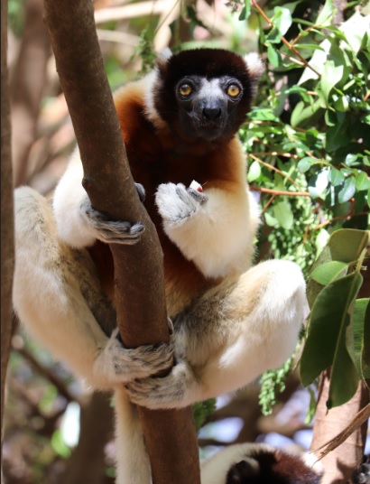 Madagascar Travel Tips