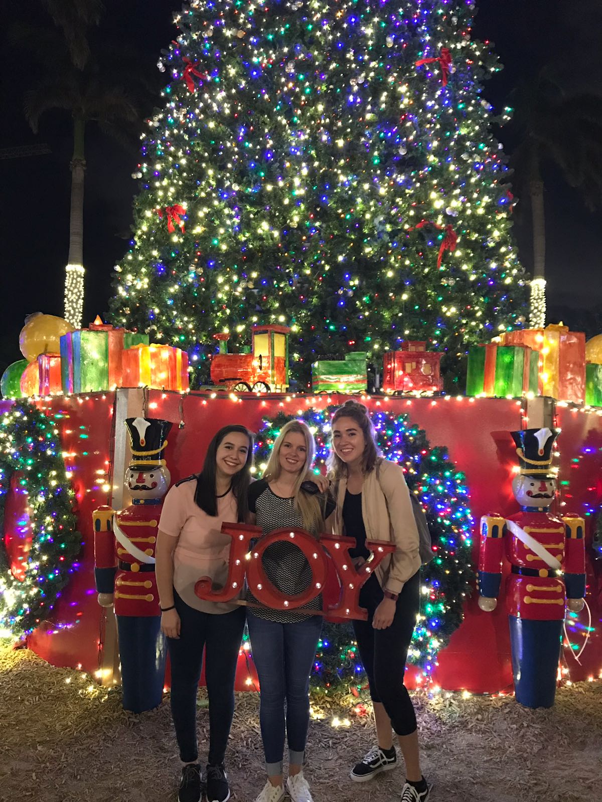 Au pairs in America at Christmas