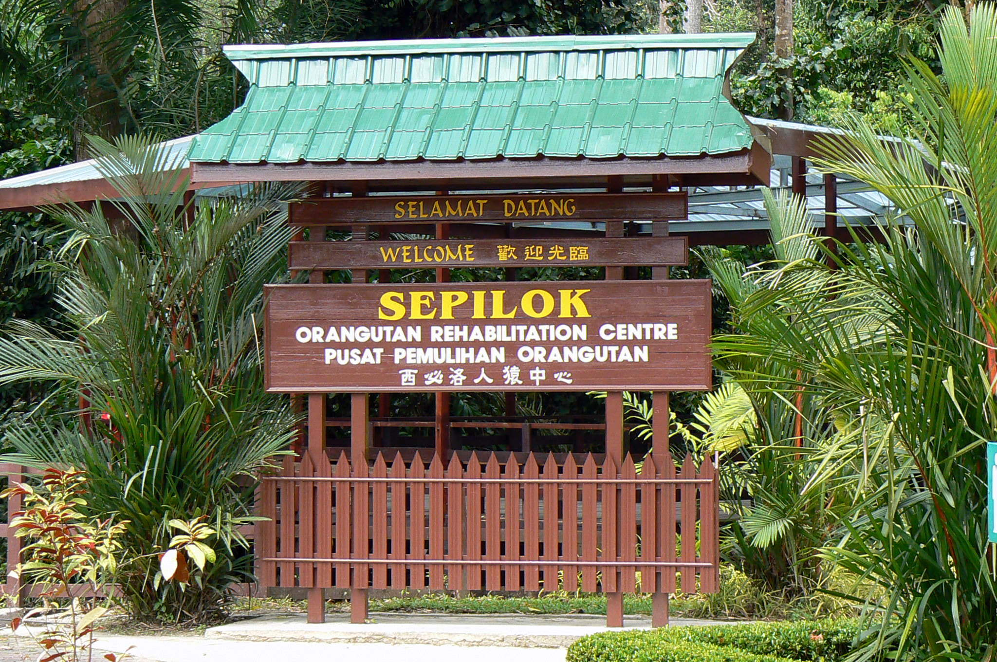 Sepilok Organutan Rehabilitation Centre, Borneo