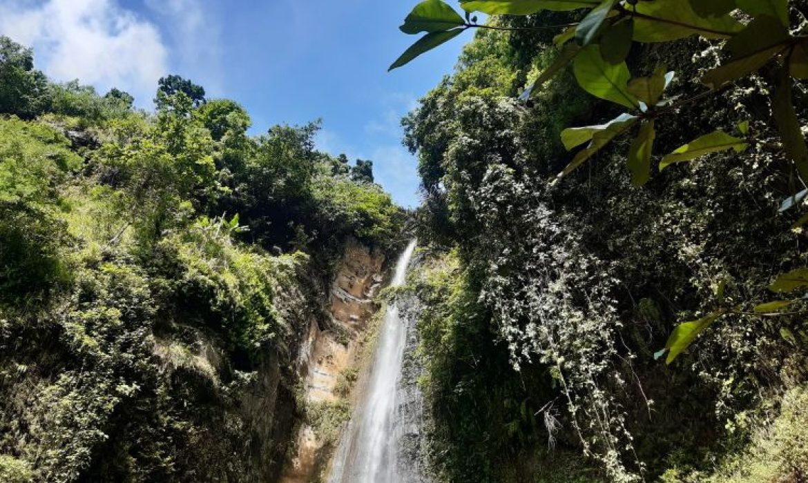 Samigaluh Waterfall 