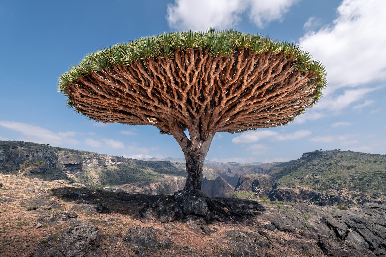 Socotra Archipelago, Yemen