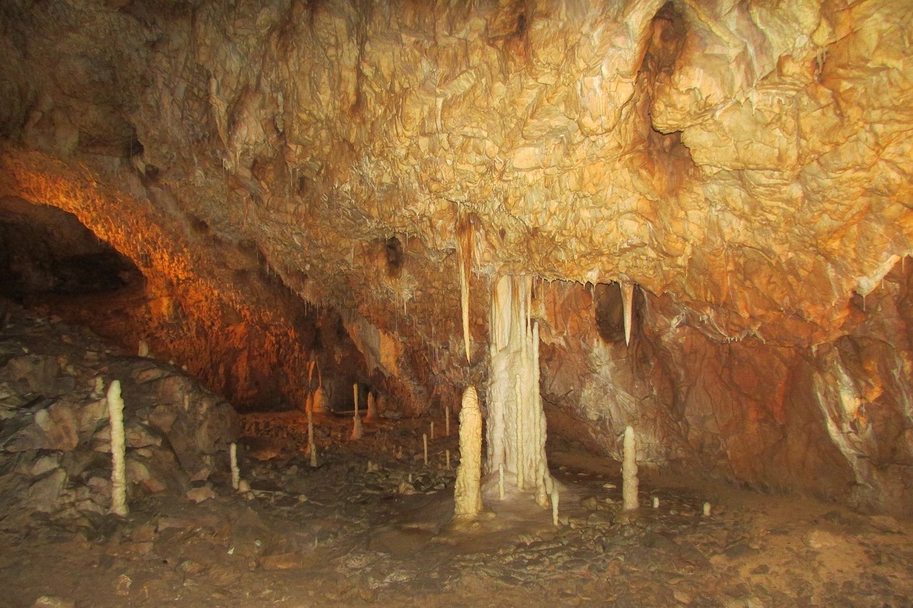 The Bears' Cave, Romania
